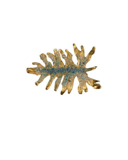Filoendro Pin by Câpâ