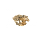 Poisonous Frog Ring